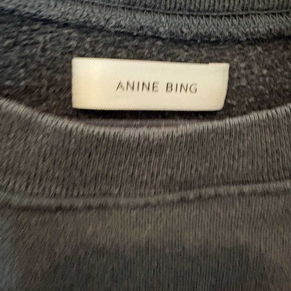 Anine Bing